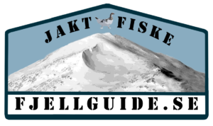 Logga fjellguide